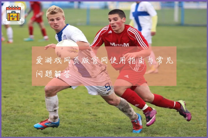爱游戏网页版官网使用指南与常见问题解答